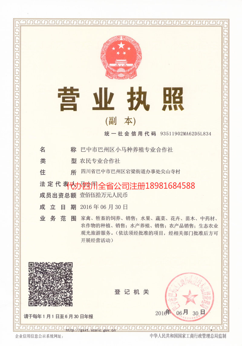 绥化绥化小马种养殖专业合作社